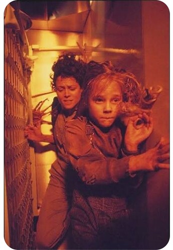 Screenshot_20260313_210344_Google