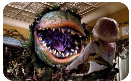 Screenshot_20260310_205130_Google