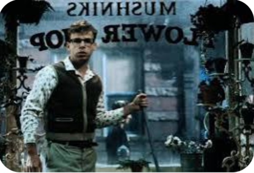 Screenshot_20260310_205118_Google